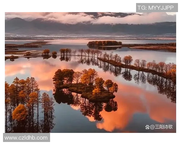 沐浴着冬日暖阳，咱们赢得成功