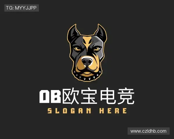 了解ob欧宝电竞